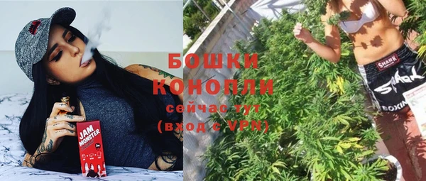 2c-b Горно-Алтайск