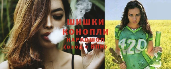 2c-b Горно-Алтайск