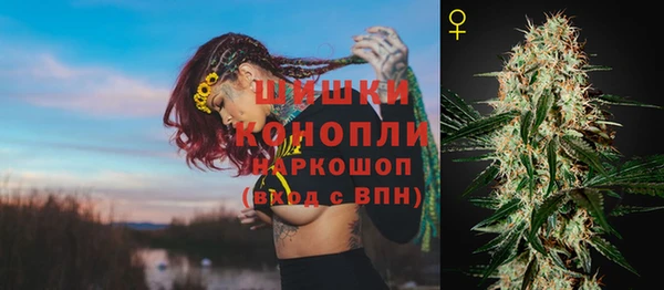 apvp Гусь-Хрустальный