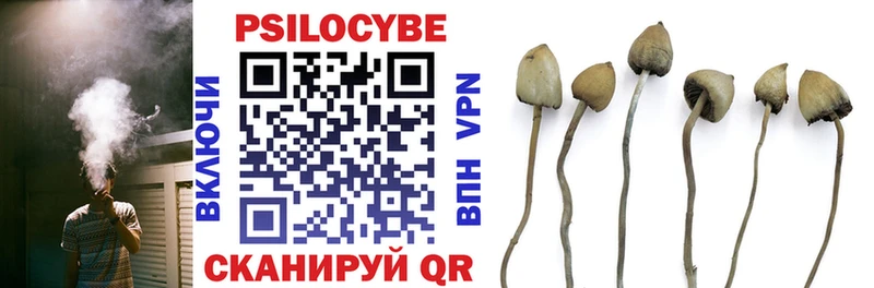 Галлюциногенные грибы Cubensis  закладка  Красный Холм 
