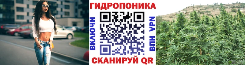 что такое   Красный Холм  Каннабис VHQ 